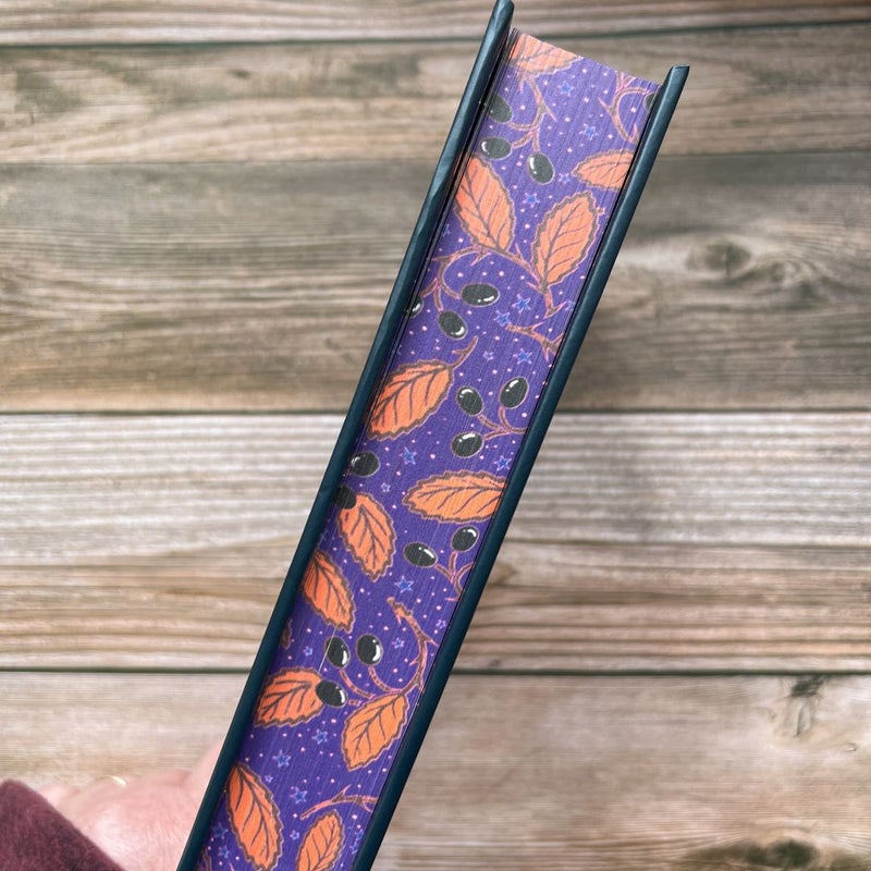 What Lies Beyond the Veil — Bookish Box Edition
