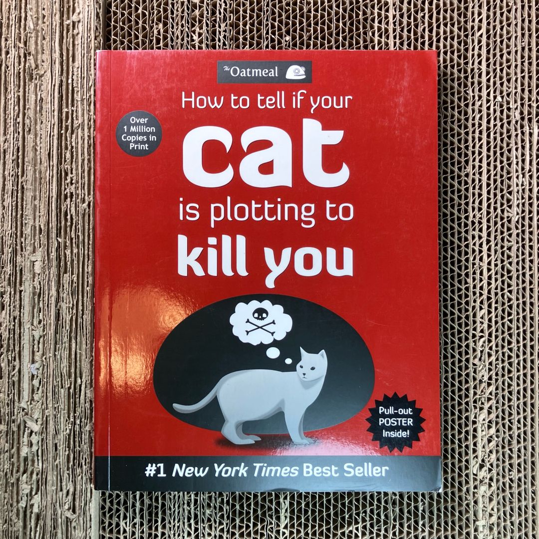 How to Tell If Your Cat Is Plotting to Kill You