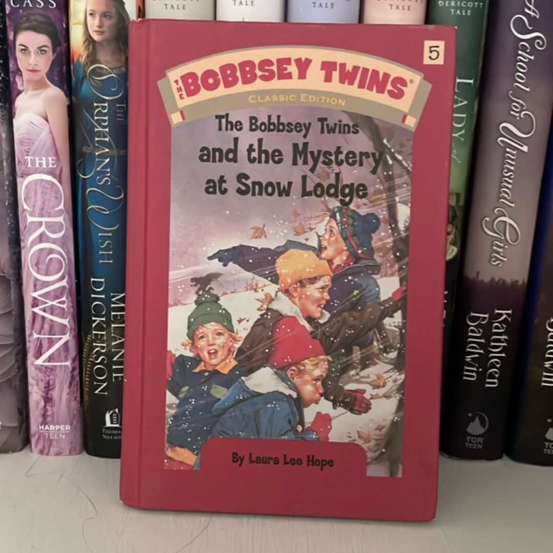 The Bobbsey Twins and the Mystery at Snow Lodge