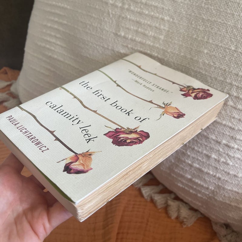 The First Book of Calamity Leek