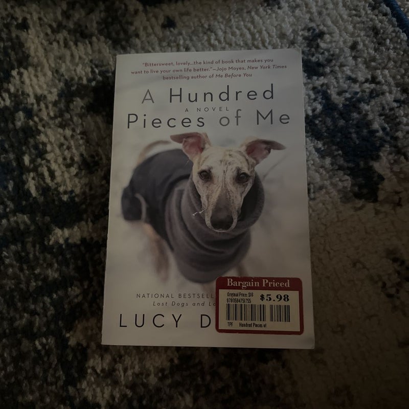 A Hundred Pieces of Me by Lucy Dillon