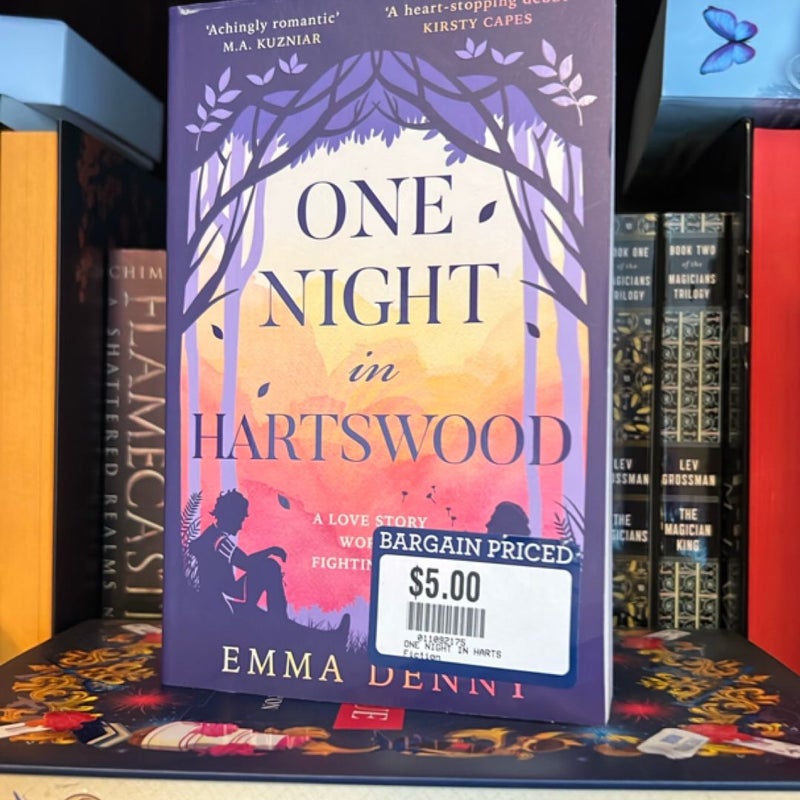 One Night in Hartswood