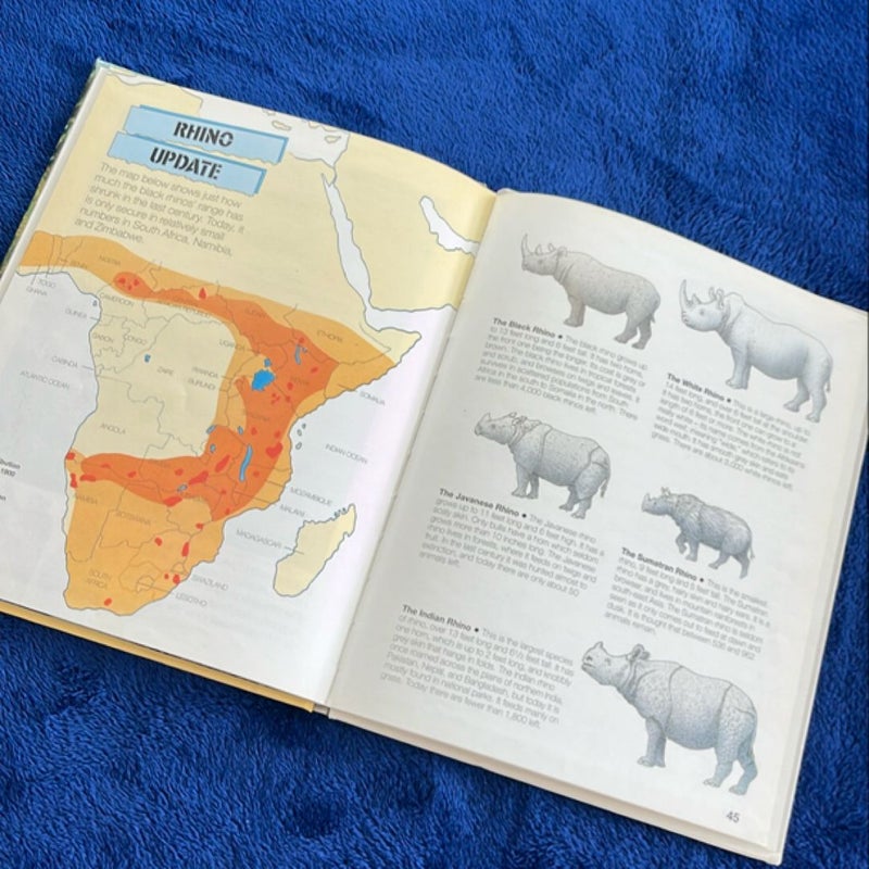 Rhino