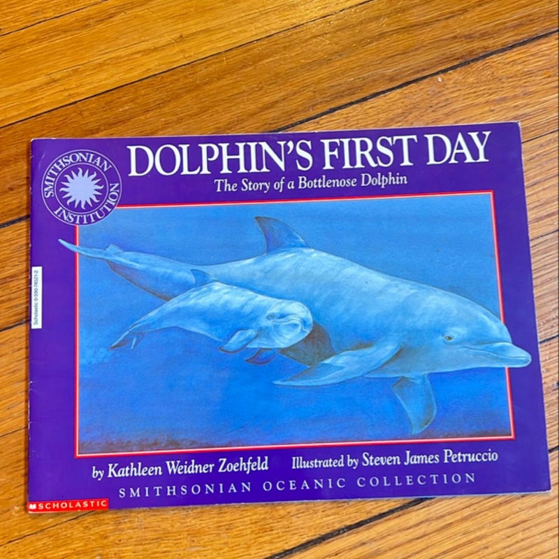 Dolphin’s First Day