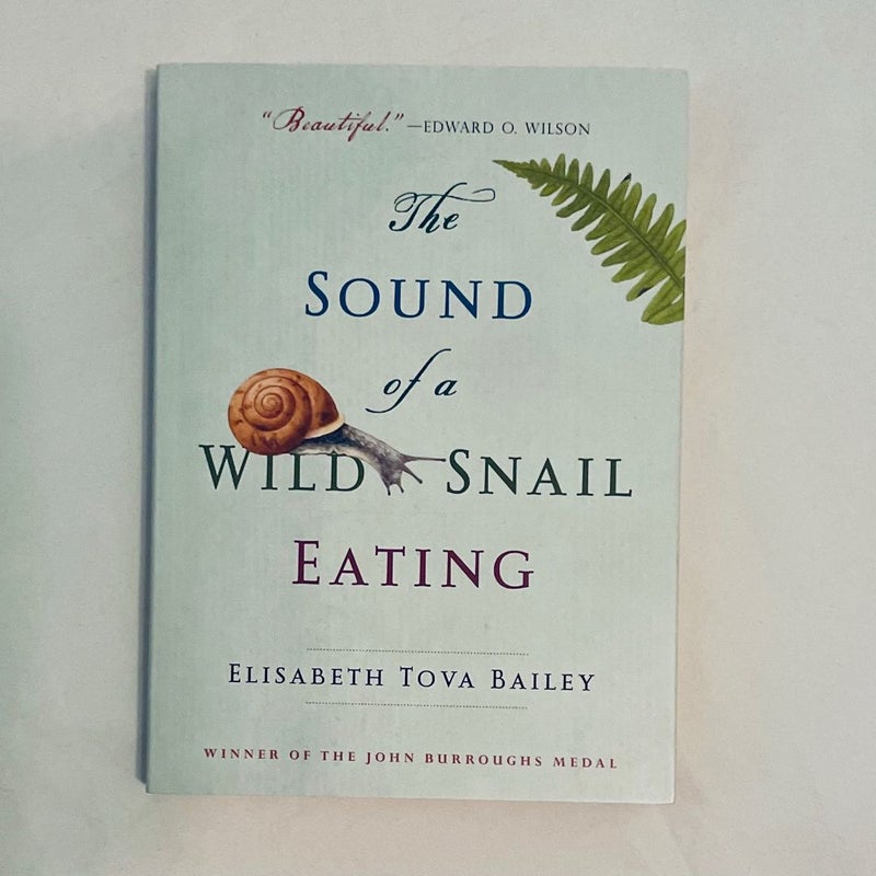 The Sound of a Wild Snail Eating