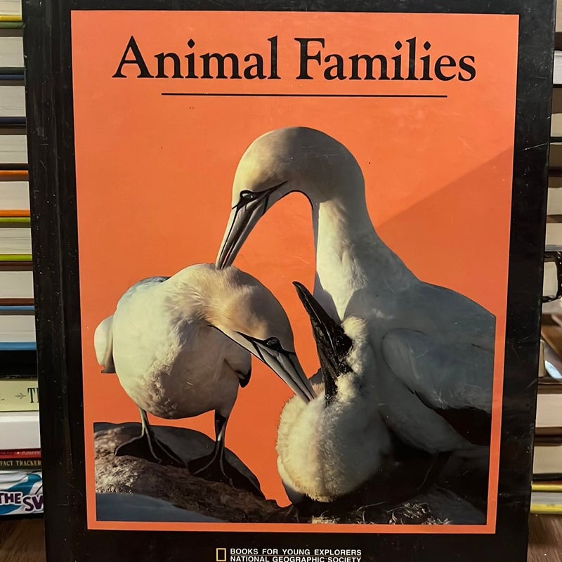 Animal Families 