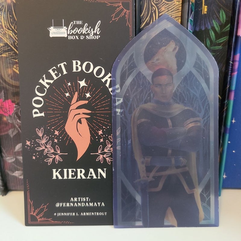 Bookish box pocket bookbae Kieran