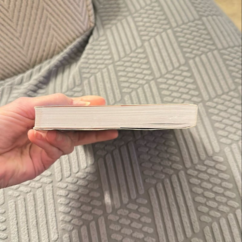 The Pregnancy Countdown Book