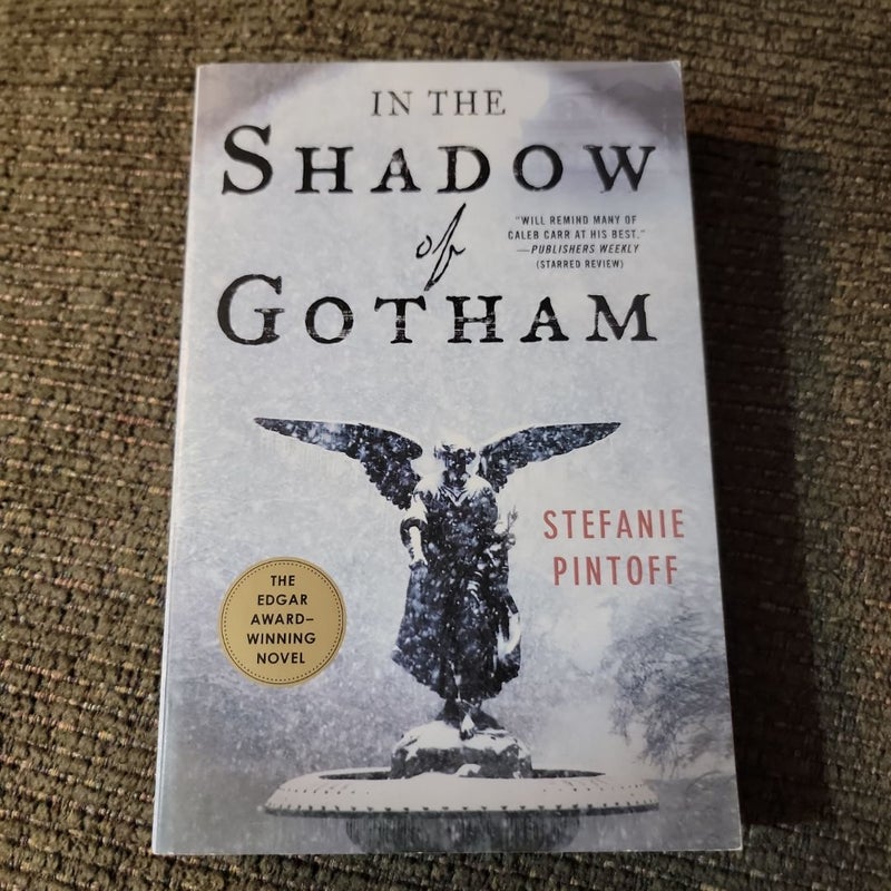 In the Shadow of Gotham