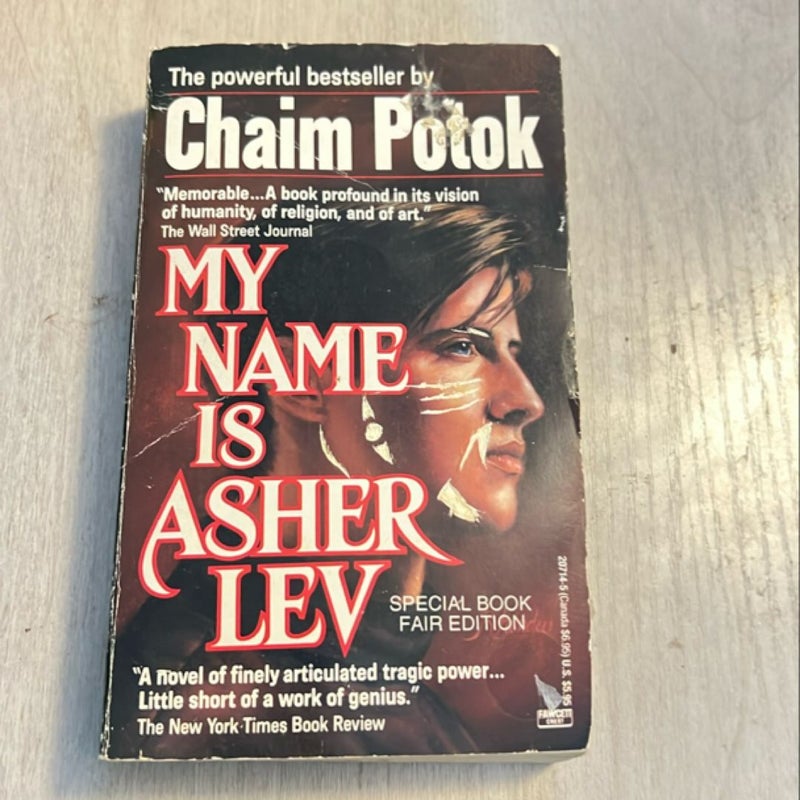 My Name Is Asher Lev