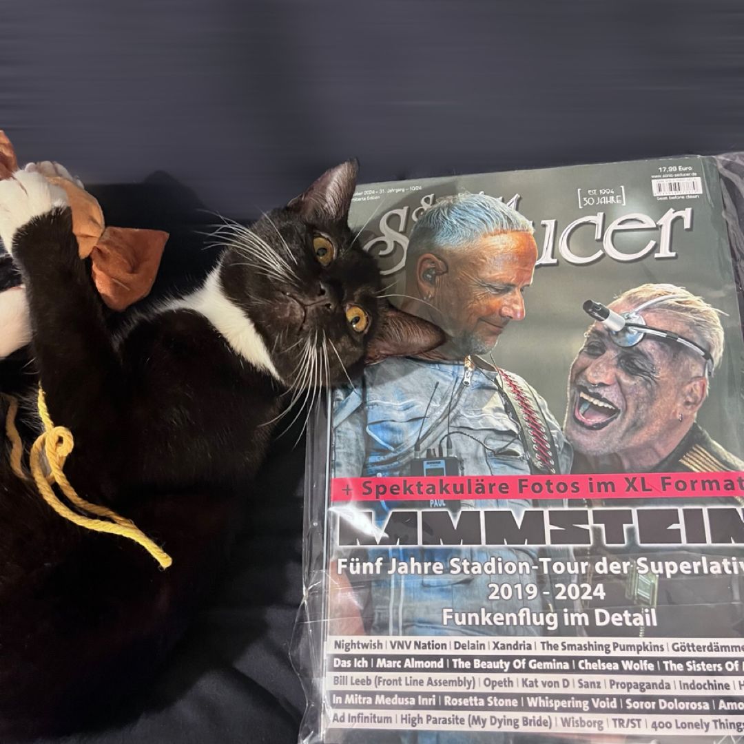 Grouchy Cat’s Used Books