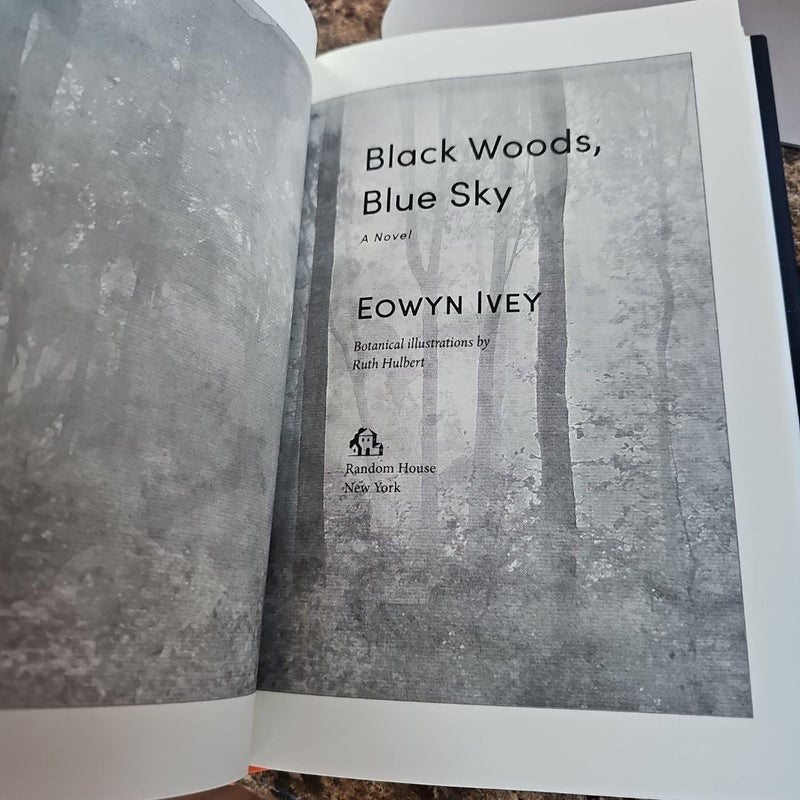 Black Woods, Blue Sky (BOTM)