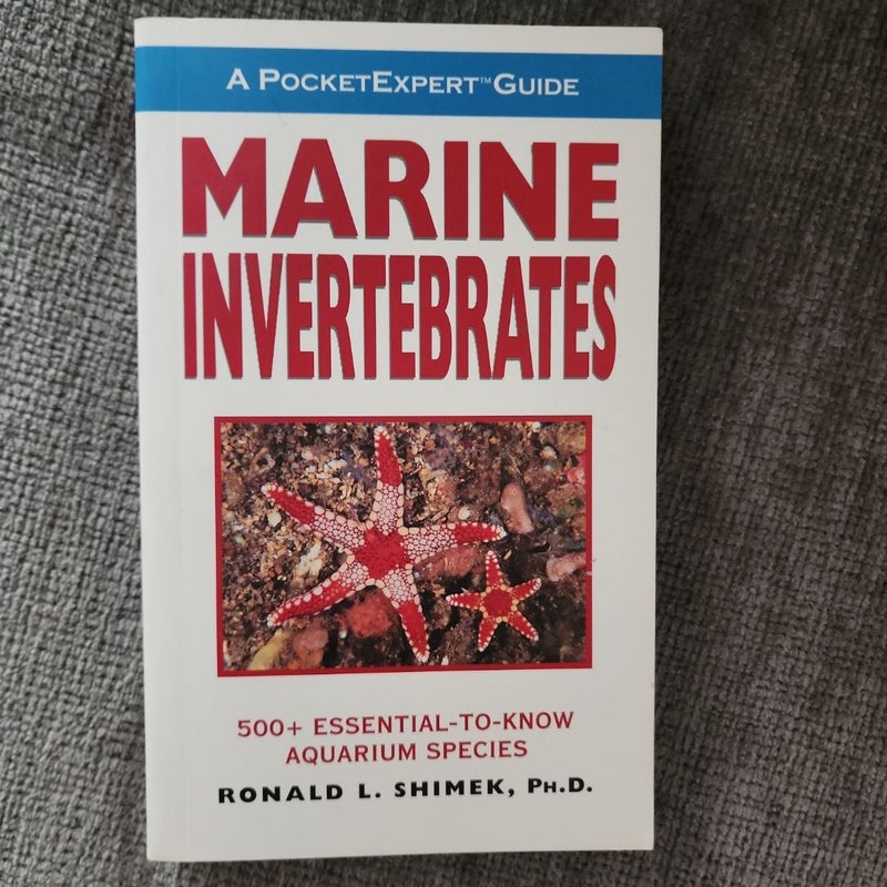 A PocketExpert Guide to Marine Invertebrates