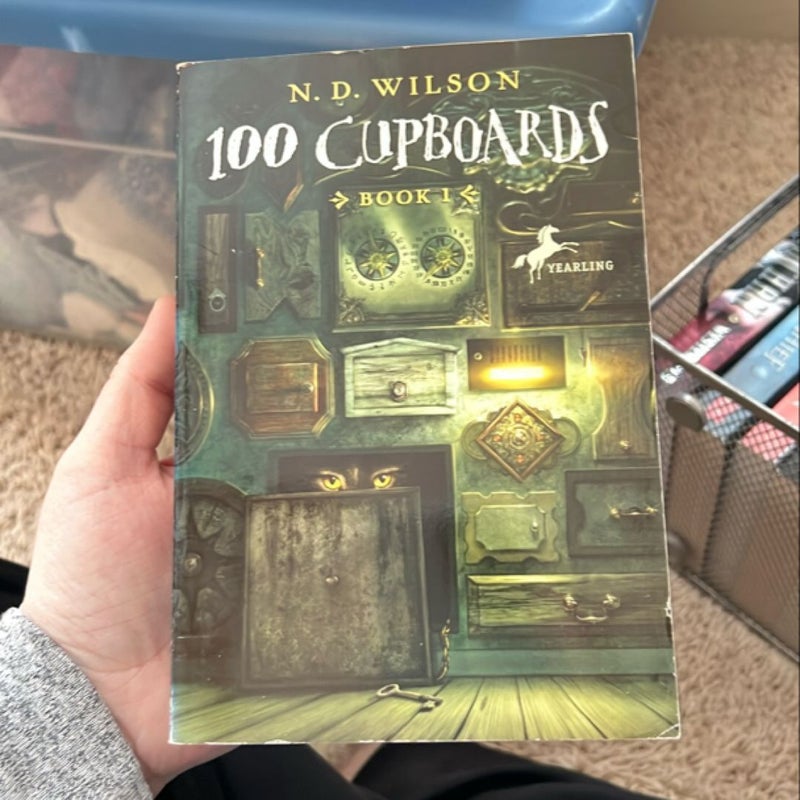 100 Cupboards (100 Cupboards Book 1)