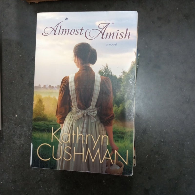 Almost Amish