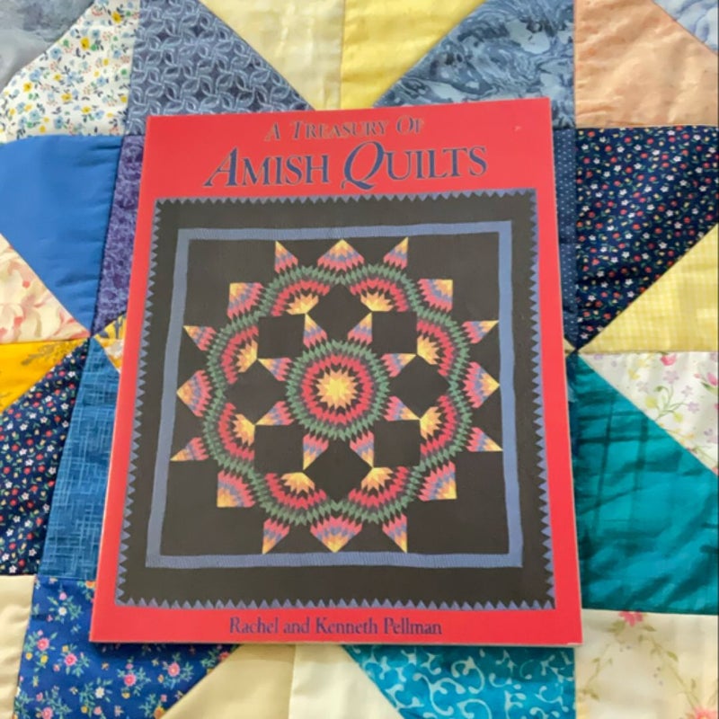 A Treasury of Amish Quilts