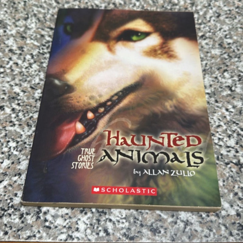 Haunted Animals 