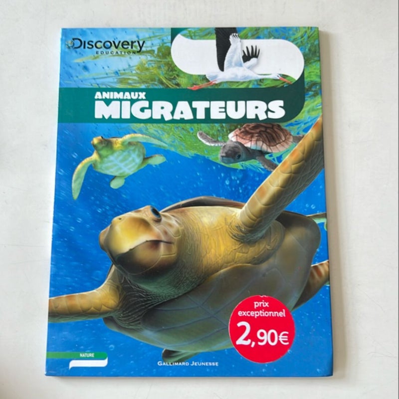 Animaux migrateur