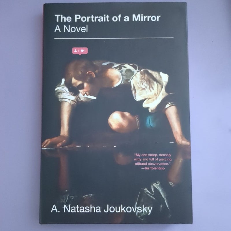 The Portrait of a Mirror