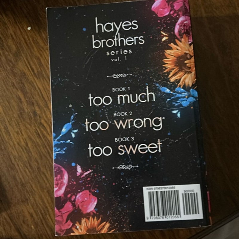 Hayes Brothers Series Vol. 1