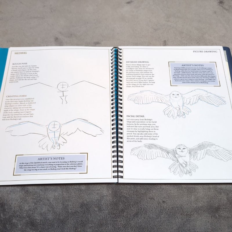How to Draw: Harry Potter