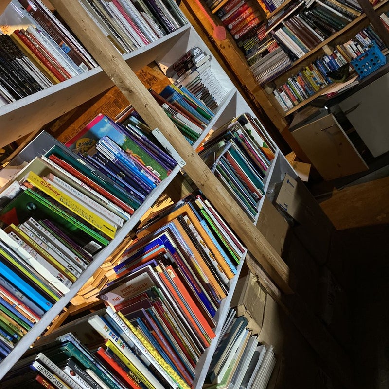 Mystery  Bags of Books