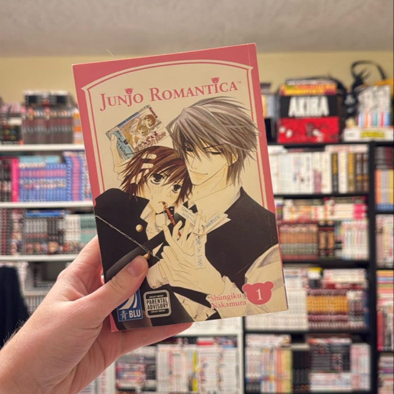 Junjo Romantica, Vol 1