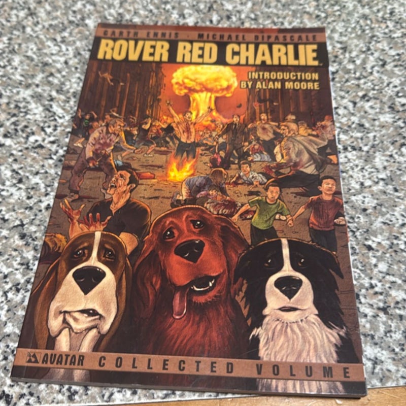Rover Red Charlie