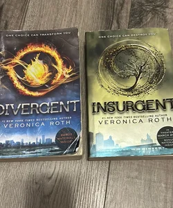 Insurgent and Divergent bundle 