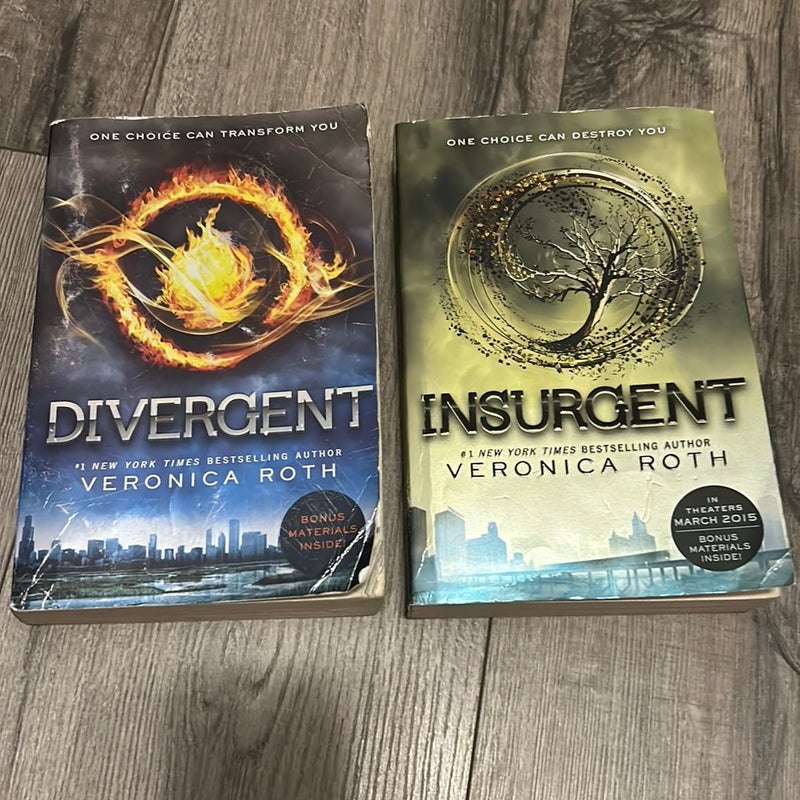 Insurgent and Divergent bundle 