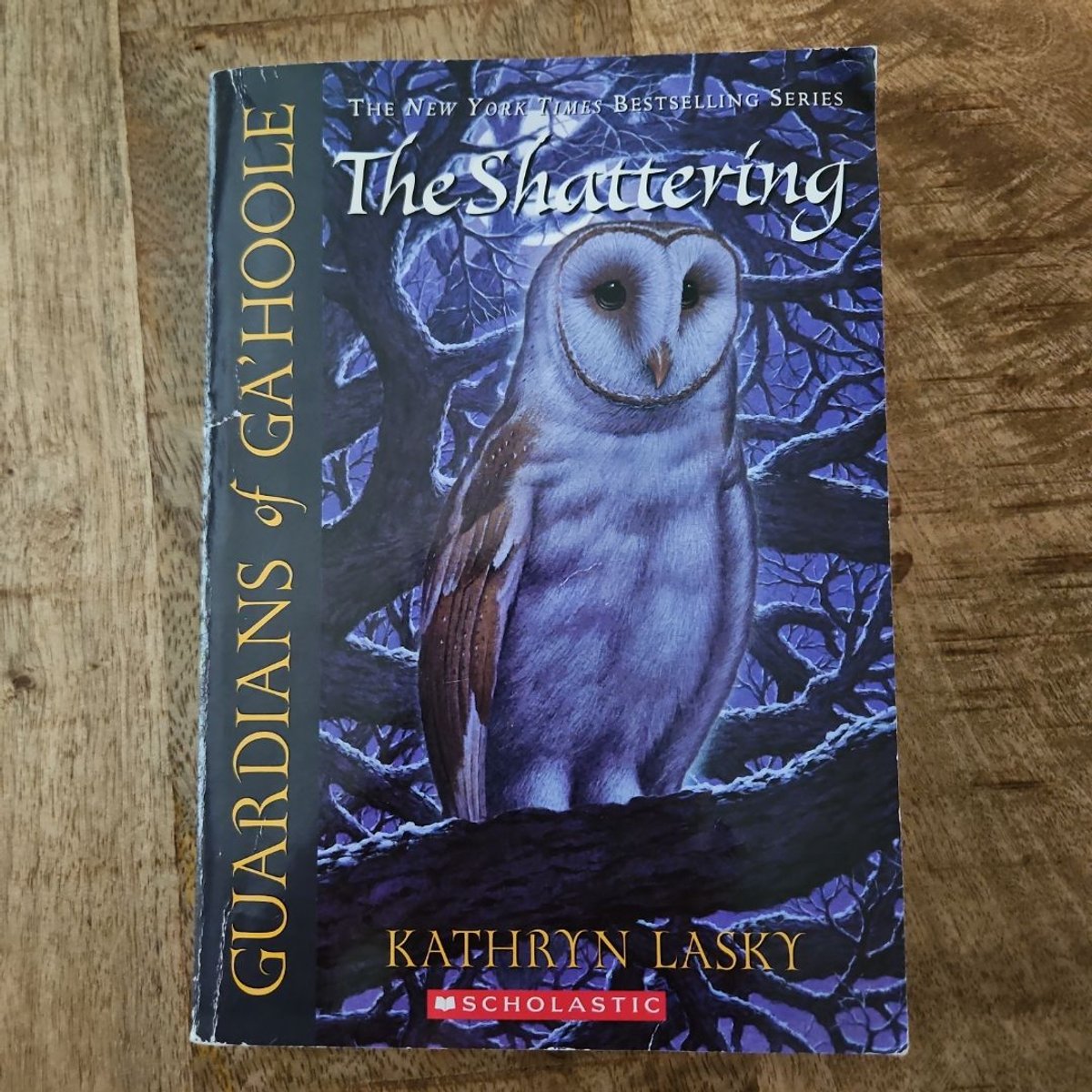 The Shattering by Kathryn Lasky