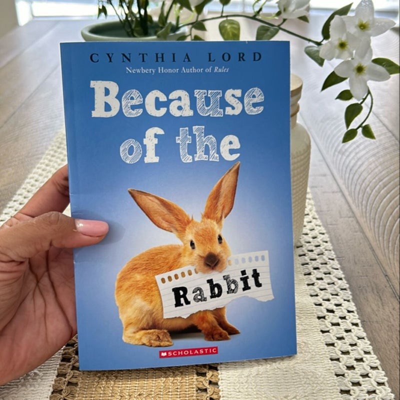 Because Of The Rabbit