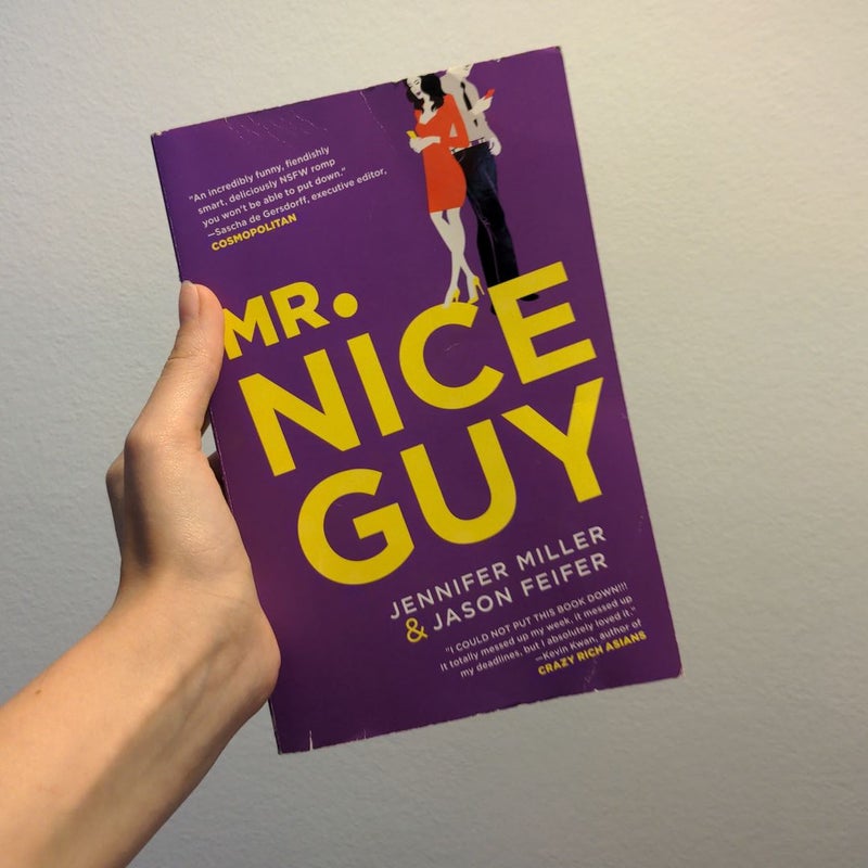 Mr. Nice Guy