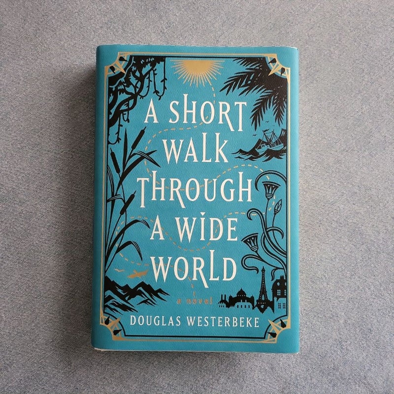 A Short Walk Through a Wide World