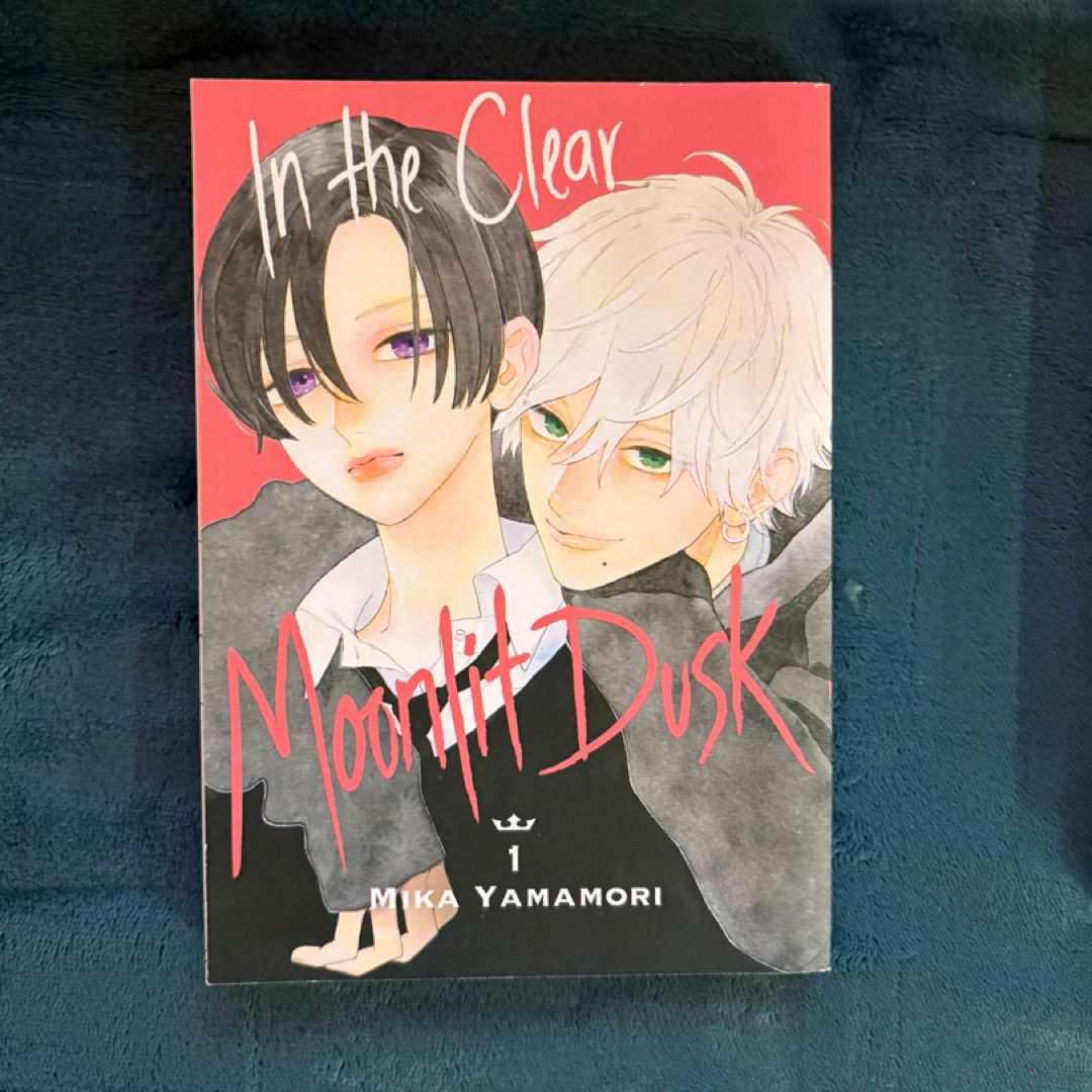 In the Clear Moonlit Dusk 1