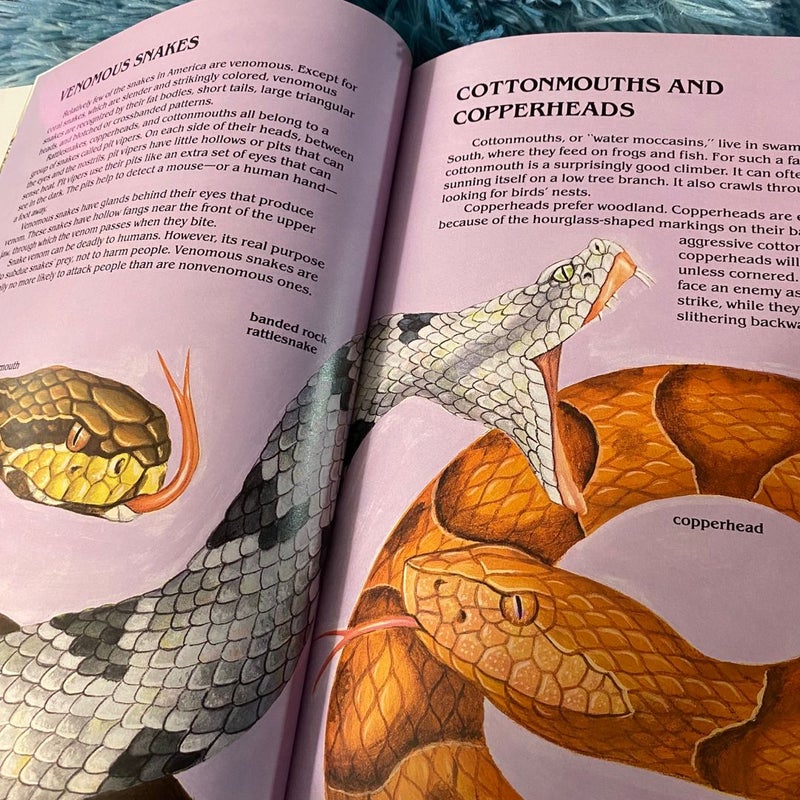 The Golden Book of Snakes and Other Reptiles