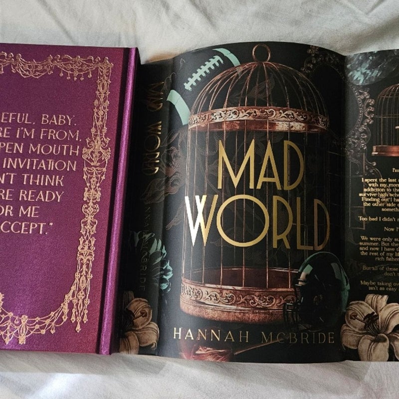 Baddies Mad World by Hannah McBride 