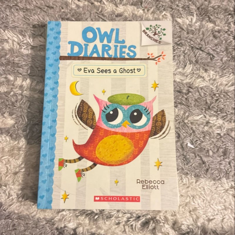 Owl Diaries