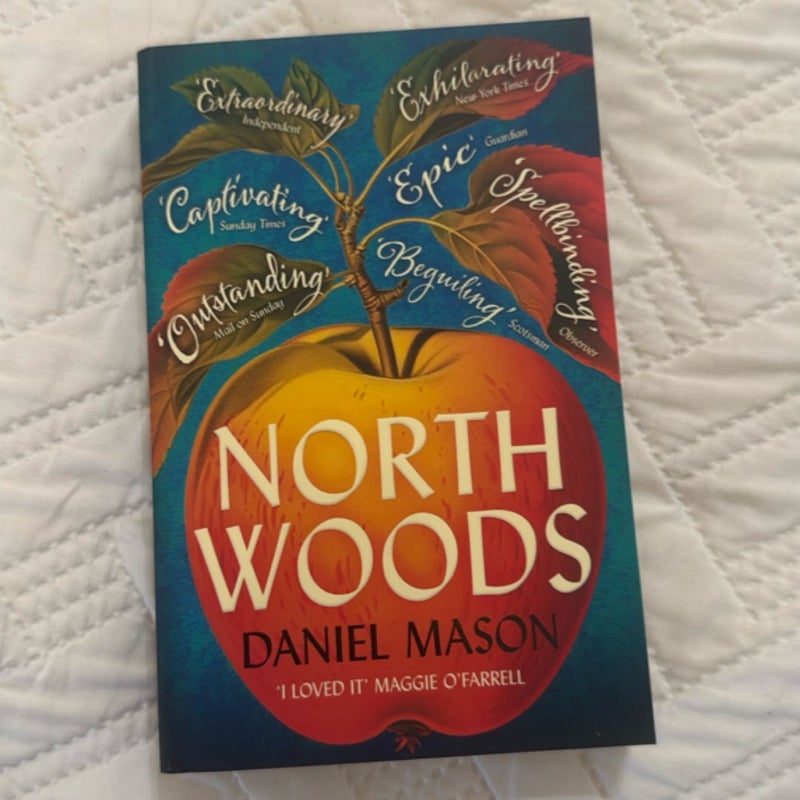 North Woods