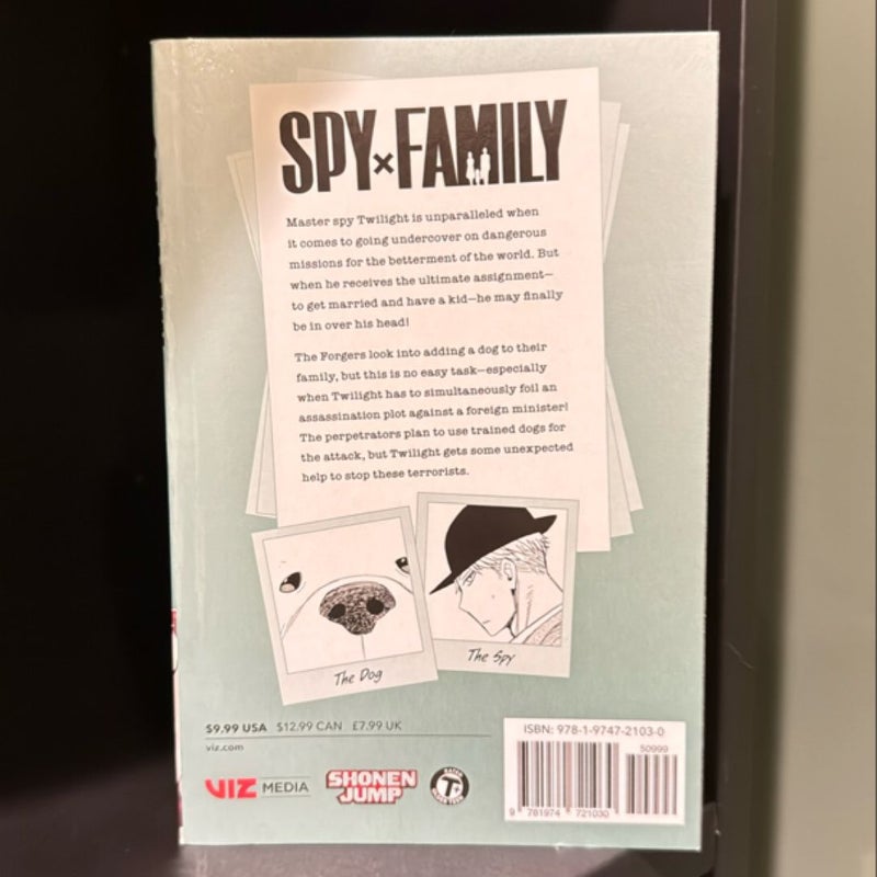 Spy X Family, Vol. 4