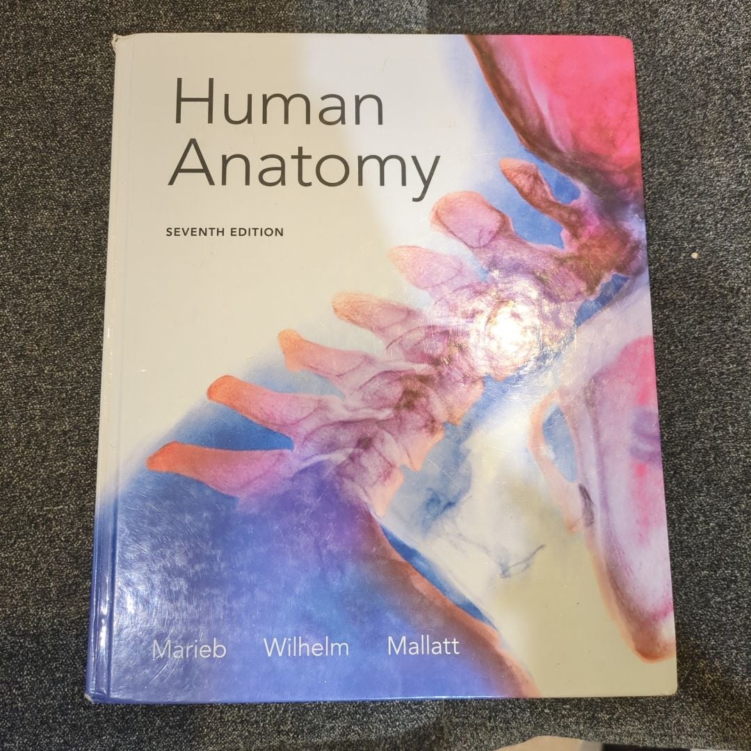 Human Anatomy