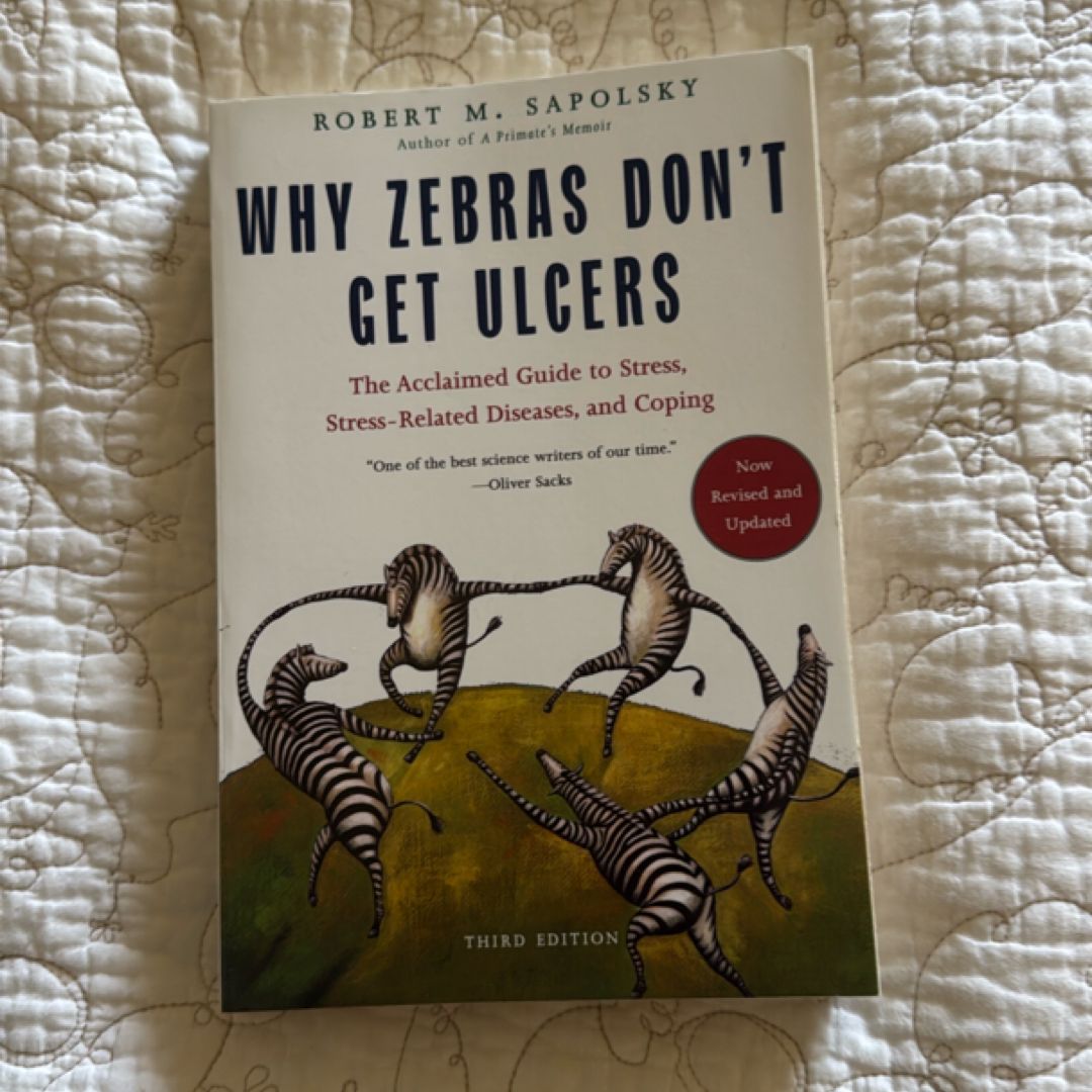 Sale image for d754a198-2363-4b83-abb1-45431a6043b9-tmLSNfYzsFVt8KXAsMfVWqTdISk1