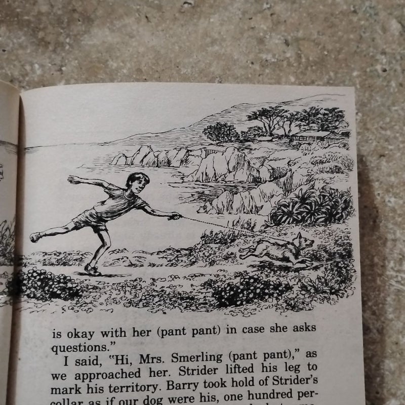Beverly Cleary Strider