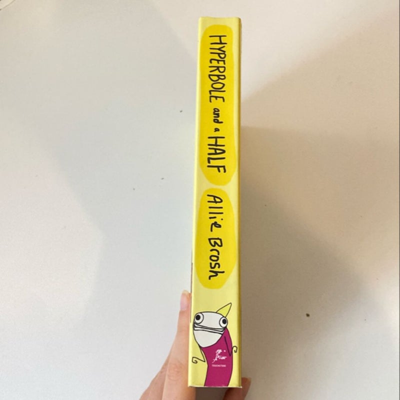 Hyperbole and a Half