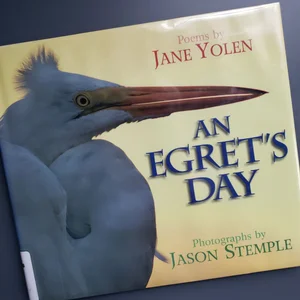 An Egret's Day