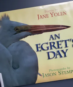 An Egret's Day