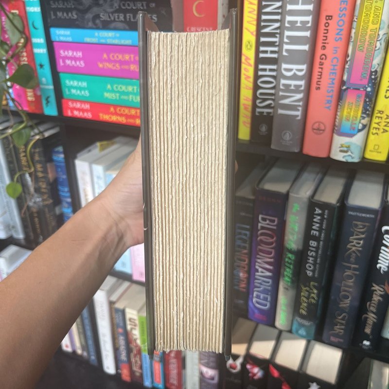 The School for Good and Evil #3: the Last Ever After