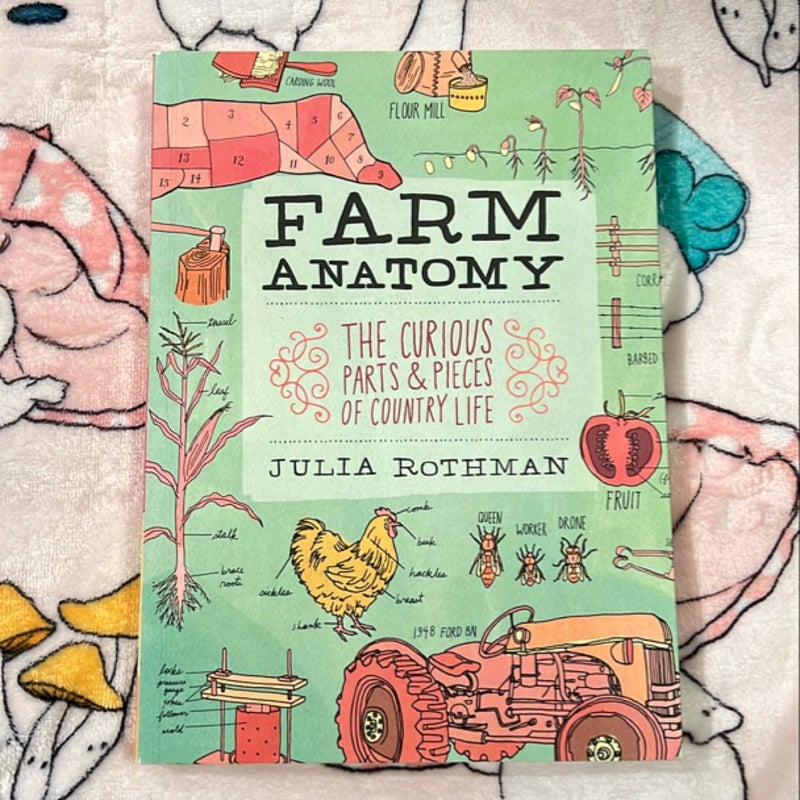 Farm Anatomy