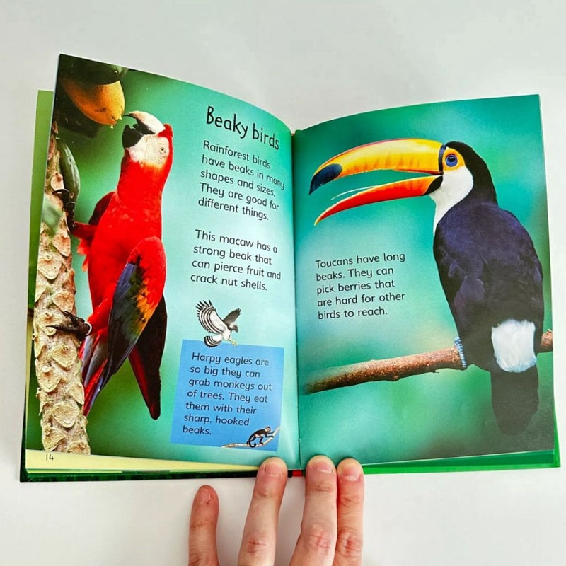 Usborne Rainforests, Usborne Beginners