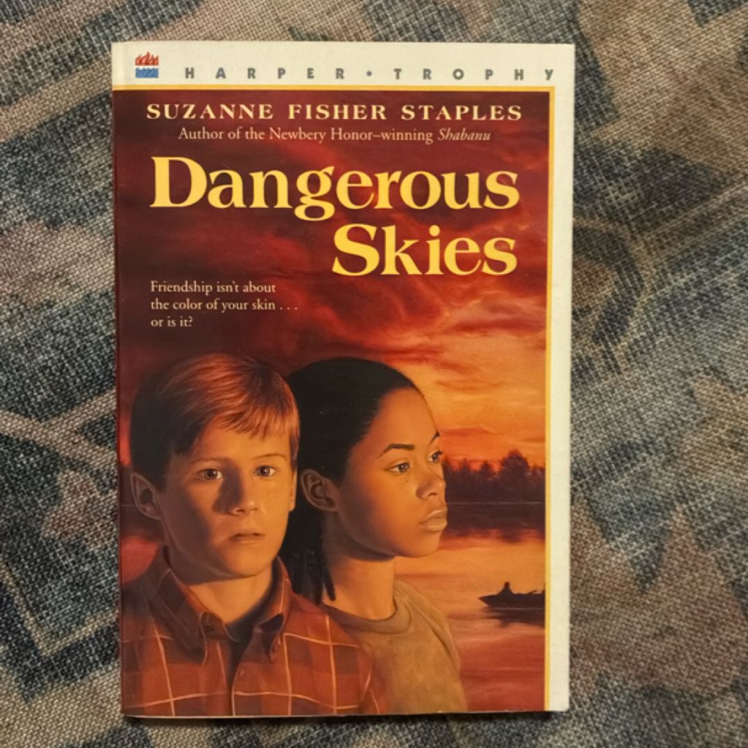 Dangerous Skies